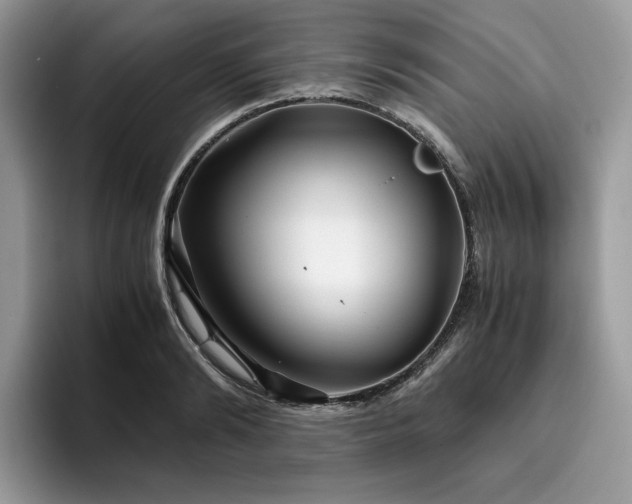 X0000096220894200801181448