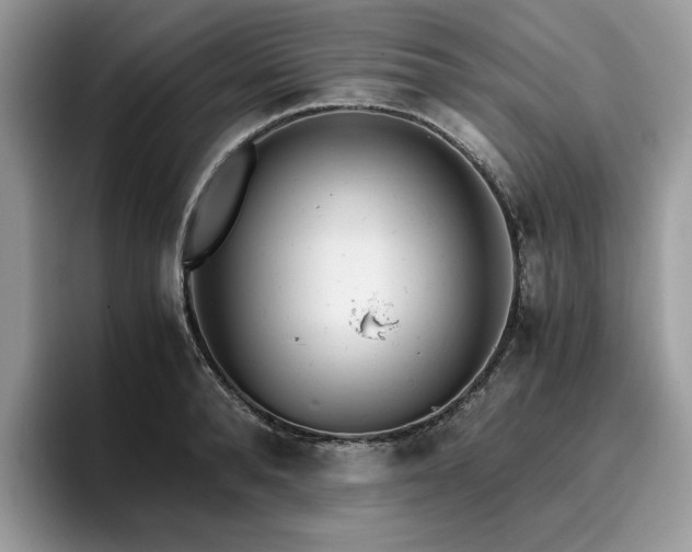 X0000096220896200801181448