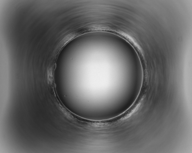 X0000096220897200801181448
