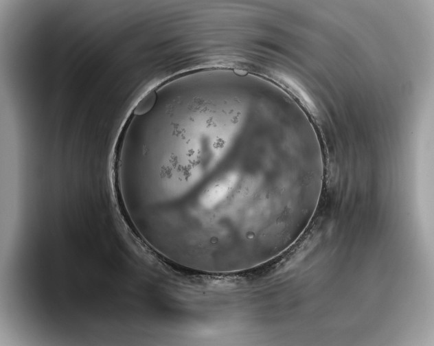 X0000096220899200801181448