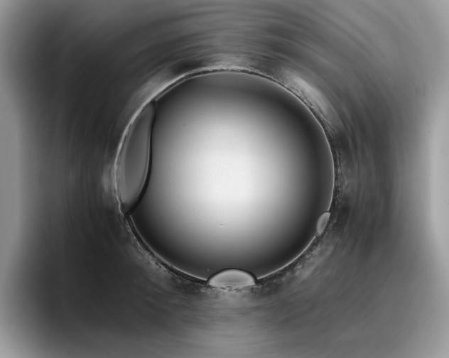 X0000096220900200801181448