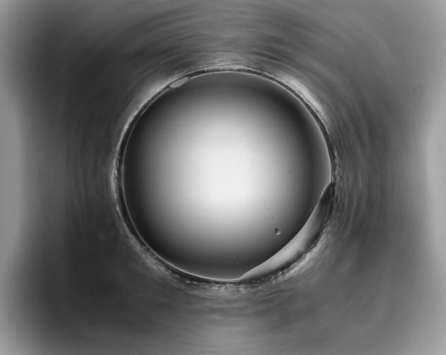 X0000096220901200801181448