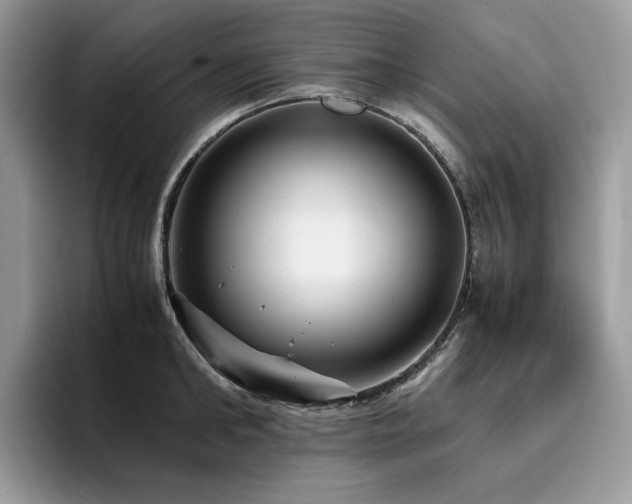X0000096220902200801181448