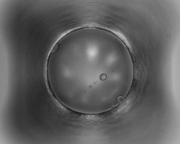 X0000096220903200801181448