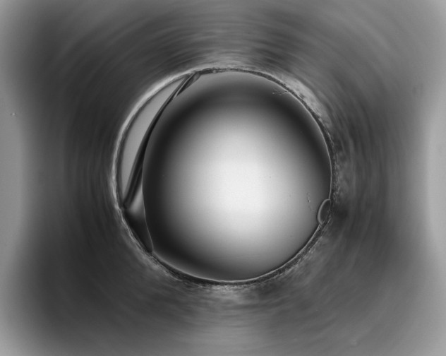 X0000096220904200801181448