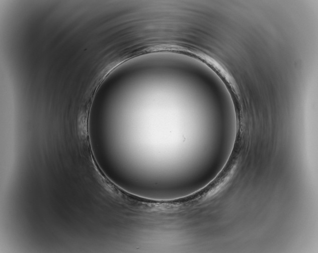 X0000096220905200801181448