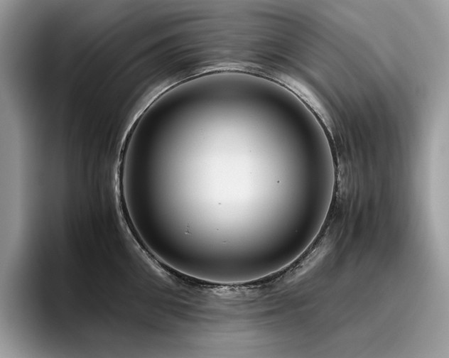 X0000096220906200801181448
