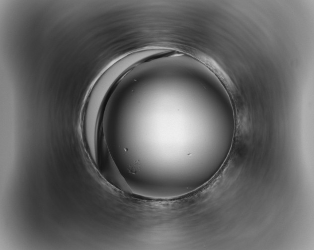 X0000096220908200801181448