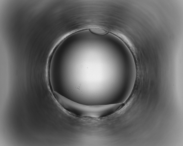 X0000096220910200801181448