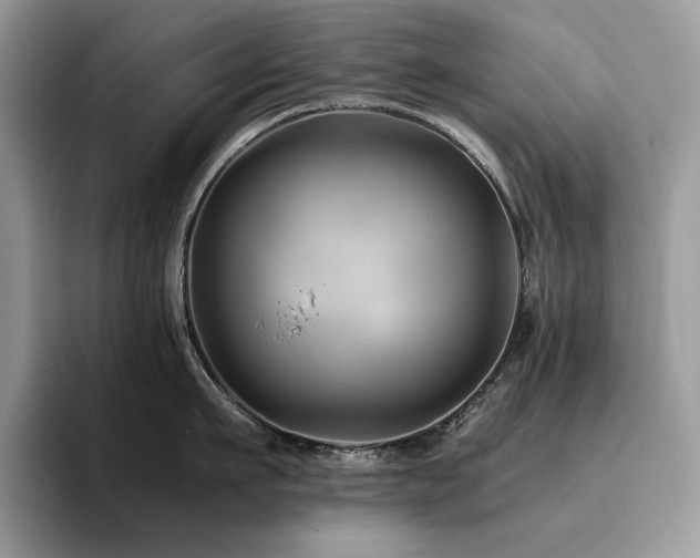 X0000096220911200801181448