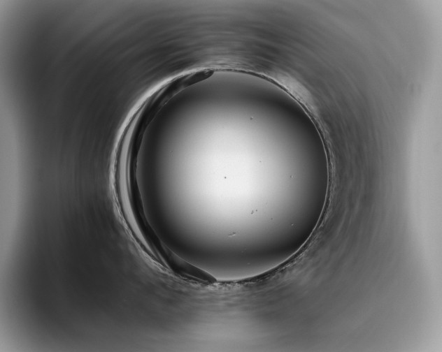X0000096220912200801181448