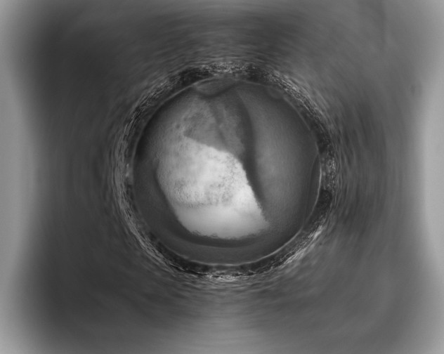 X0000096220913200801181447