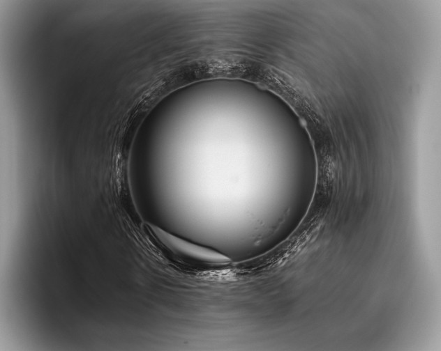 X0000096220914200801181447