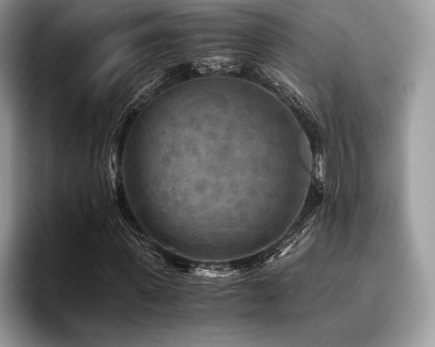 X0000096220915200801181447