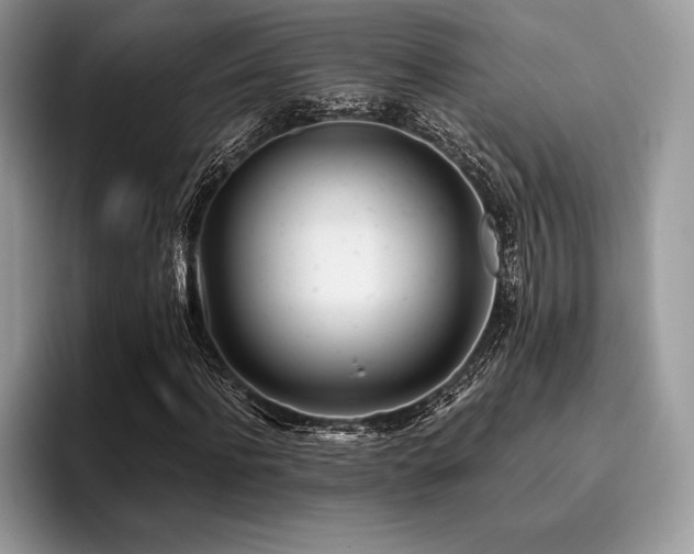 X0000096220916200801181447
