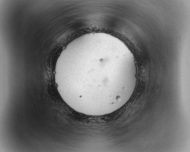 X0000096220918200801181447