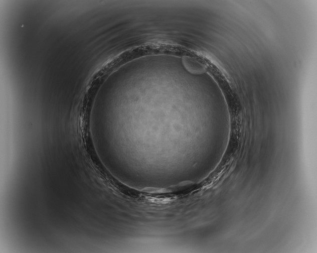 X0000096220919200801181447