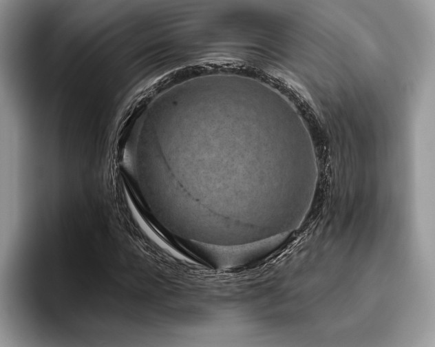 X0000096220920200801181447