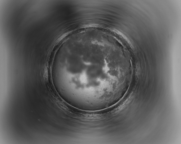X0000096220921200801181447