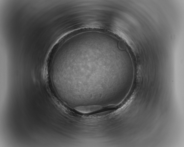X0000096220923200801181447