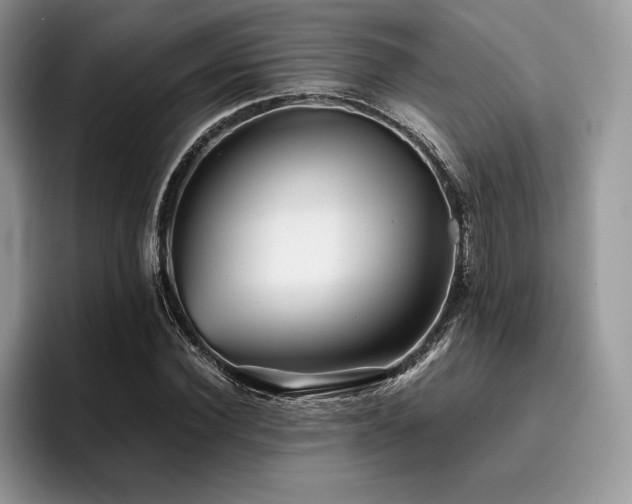 X0000096220924200801181447