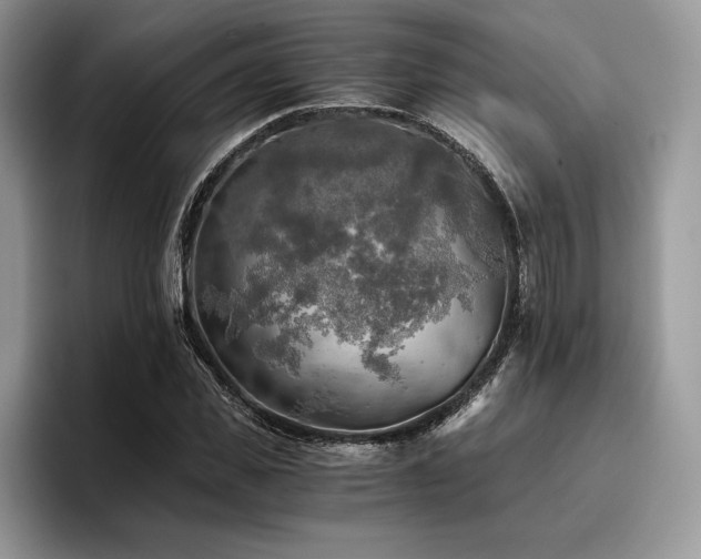X0000096220925200801181447