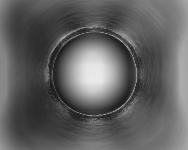 X0000096220927200801181447