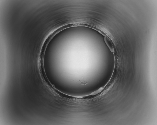 X0000096220928200801181447