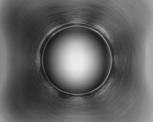 X0000096220931200801181448