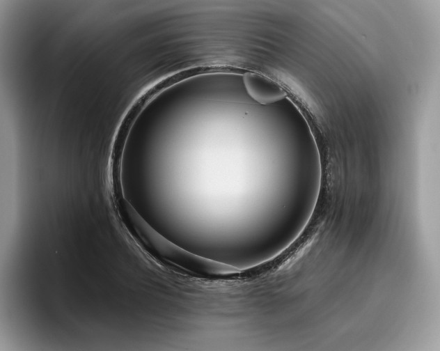 X0000096220932200801181448