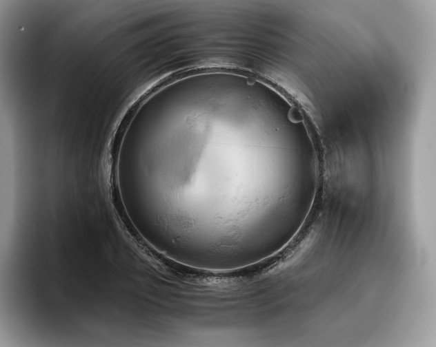 X0000096220933200801181448