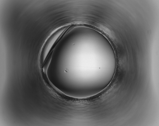 X0000096220934200801181448
