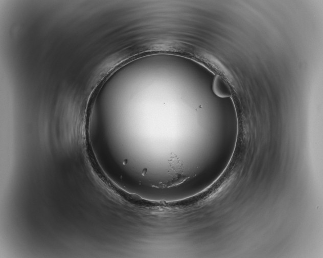 X0000096220938200801181448