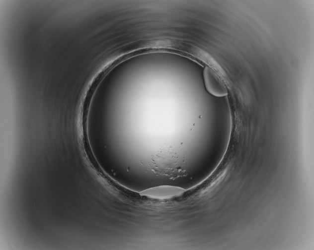 X0000096220939200801181448