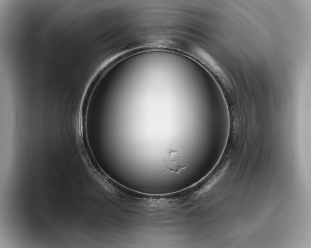 X0000096220940200801181448