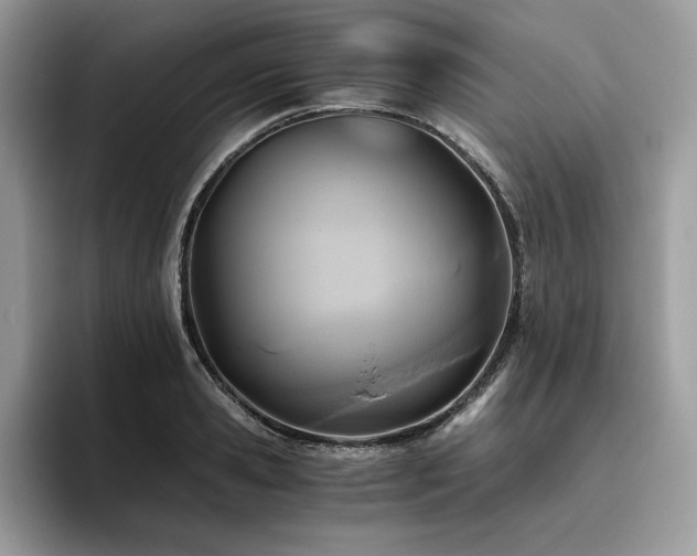 X0000096220941200801181448