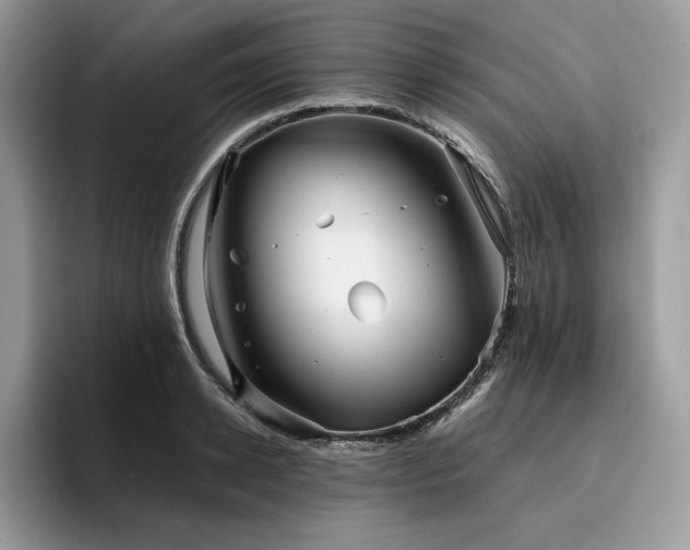 X0000096220942200801181448