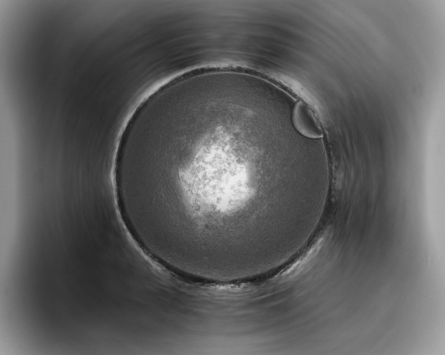 X0000096220943200801181448