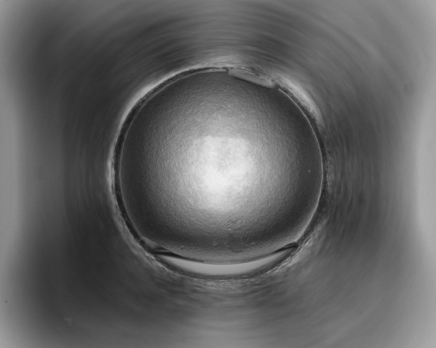 X0000096220944200801181448