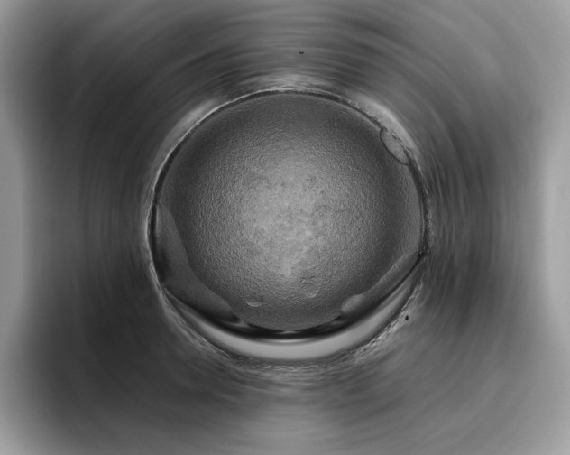X0000096220946200801181448