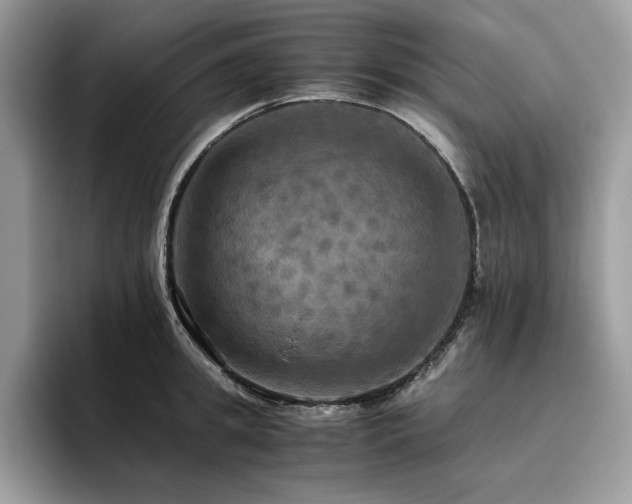 X0000096220949200801181448