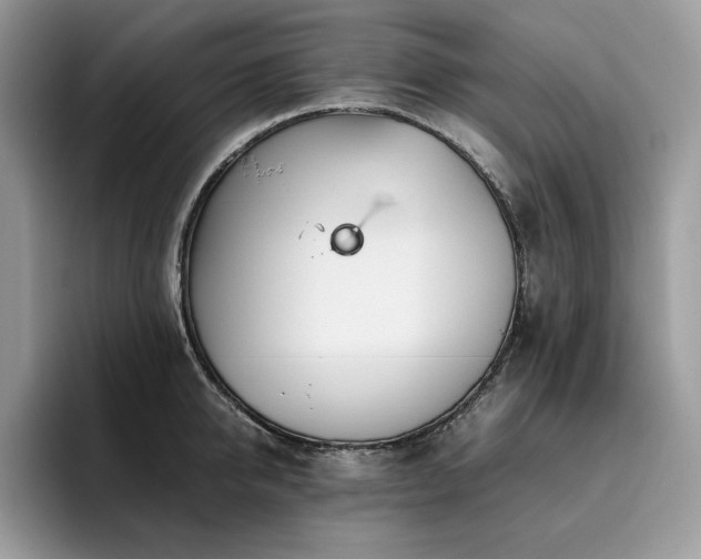 X0000096220950200801181448