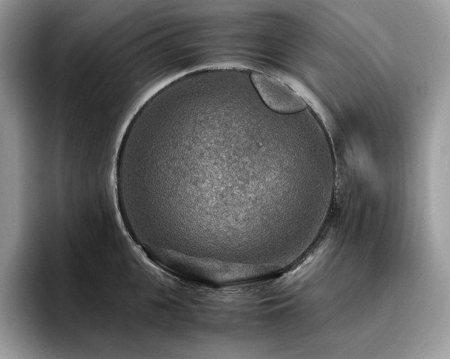 X0000096220951200801181448