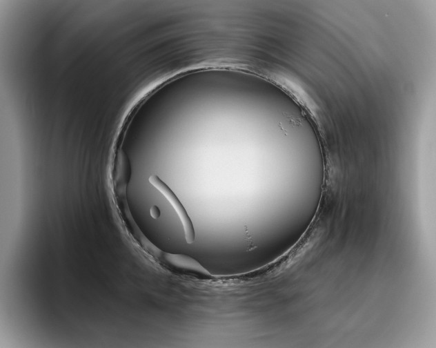 X0000096220952200801181448