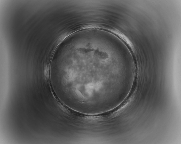 X0000096220953200801181448