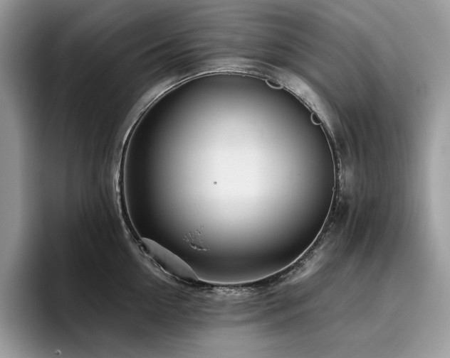 X0000096220954200801181448