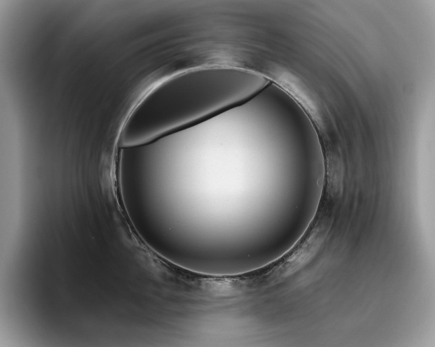 X0000096220956200801181448