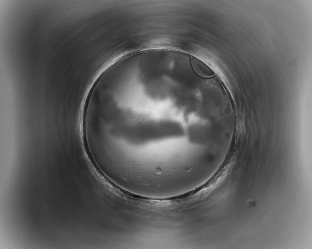 X0000096220957200801181448