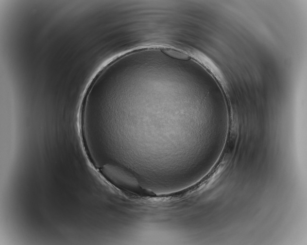 X0000096220958200801181448