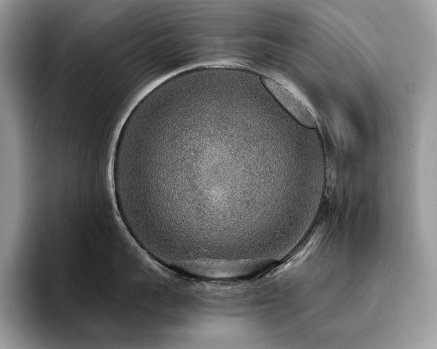 X0000096220959200801181448